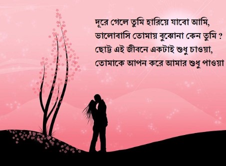 Happy Valentine Day Bangla Kobita for Wife 2024