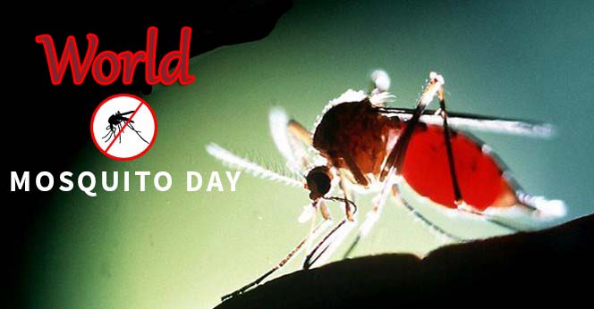 World Mosquito Day 2019