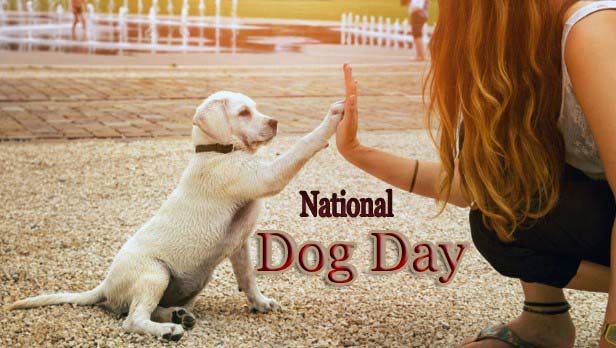 national dog day 2019