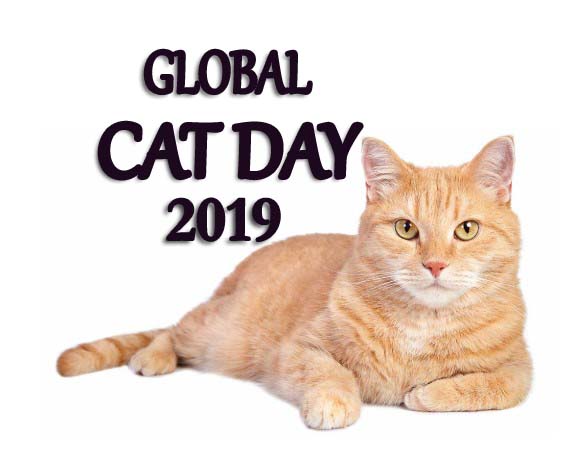 Global Cat Day 2019