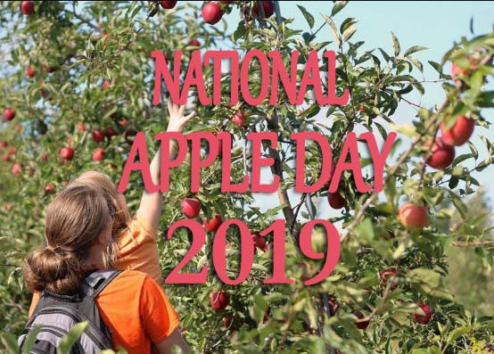 National Apple Day 2019