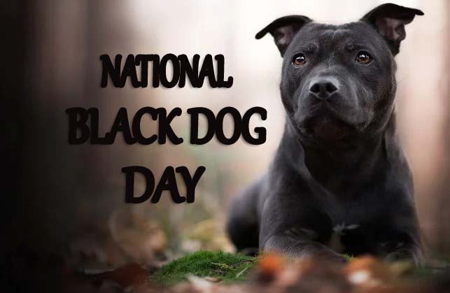 National Black Dog Day - 1st October