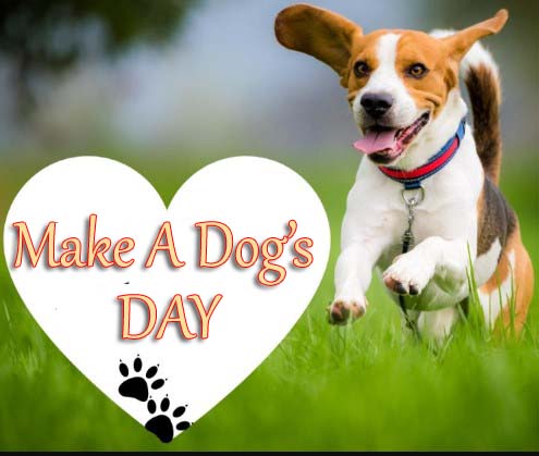 National Make A Dog’s Day 2019