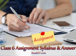 Class 6 Assignment Answer