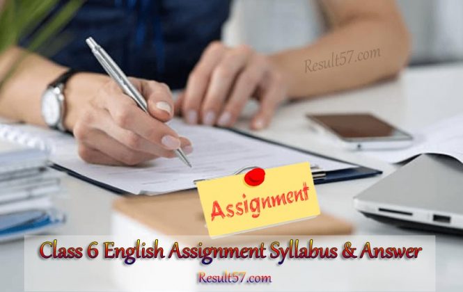 assignment in english plus class 6 pdf