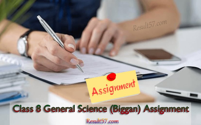 Class 8 General Science (Biggan) Assignment