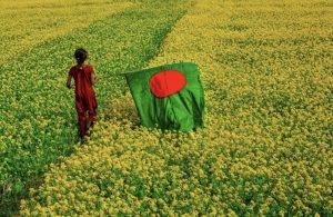 Bangladesh Flag Wallpaper HD