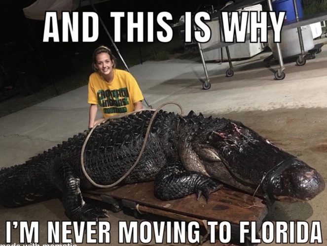 Happy National Florida Day 2023 Meme