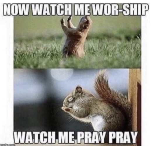 Happy National Squirrel Appreciation Day Memes 2023