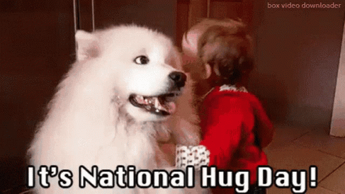 Meme Funny Happy National Hug Day GIF