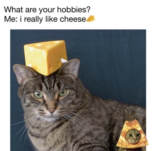 National Cheese Lovers Day 2023 Meme