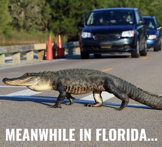 National Florida Day Funny Pic 2023