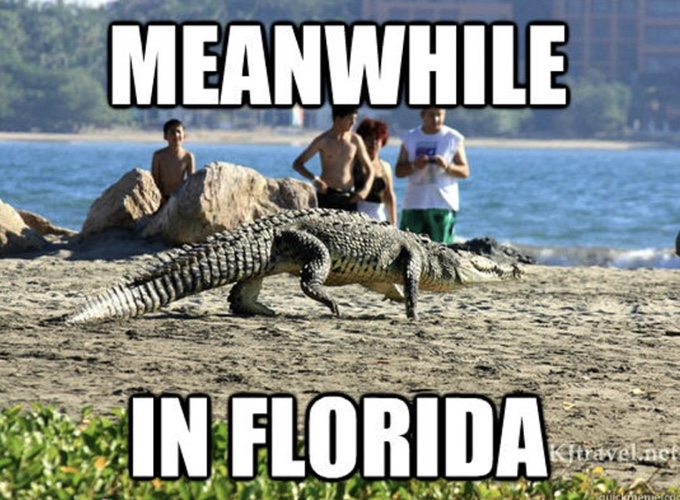 National Florida Day Memes 2023