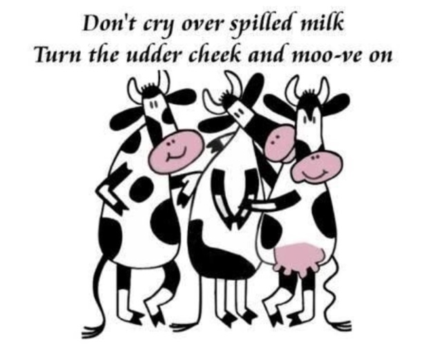 National Milk Day Meme