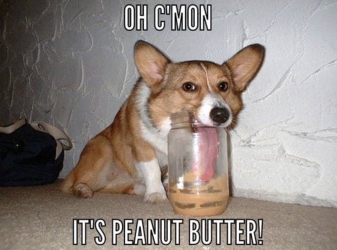National Peanut Butter Day Meme 2023