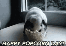 National Popcorn Day GIF