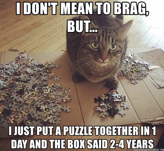 National Puzzle Day Meme 2023