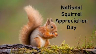 National Squirrel Appreciation Day 2024