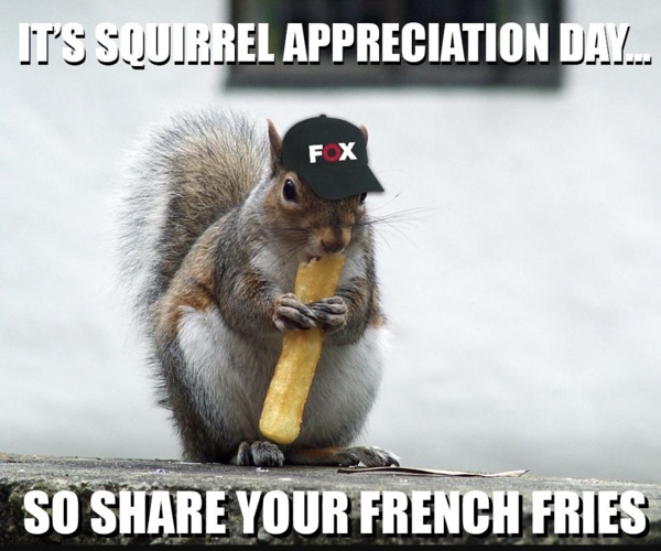 National Squirrel Appreciation Day 2023 Meme 