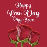 Happy Rose Day My Love 2023