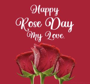 Happy Rose Day My Love 2023