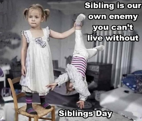 Funny National Siblings Day Meme Images