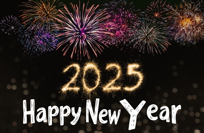 Happy New Year 2025 Pic